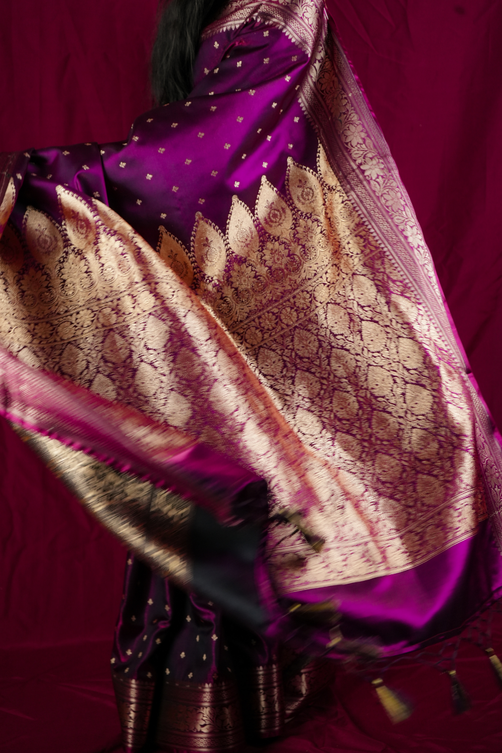 Rangini Banaras