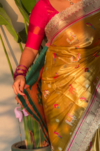 Pashu Meenakari