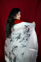 Shivanshi (Grey)